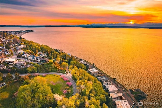 1017 California Ln SW, Seattle, WA 98116 - drone / aerial view of a nearby body of water