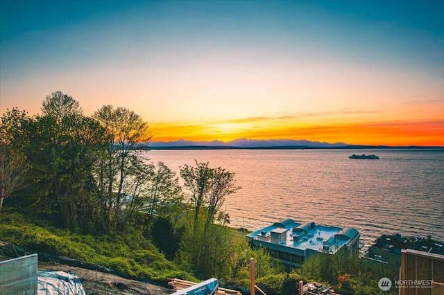 1017 California Ln SW, Seattle, WA 98116 - water view
