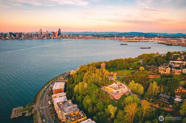 1017 California Ln SW, Seattle, WA 98116 - aerial overview of property's location with a nearby body of water