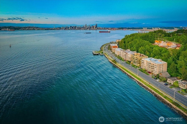1017 California Ln SW, Seattle, WA 98116 - aerial view of a large body of water