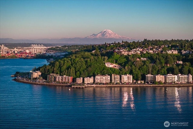 1017 California Ln SW, Seattle, WA 98116 - drone / aerial view of a water and mountain view