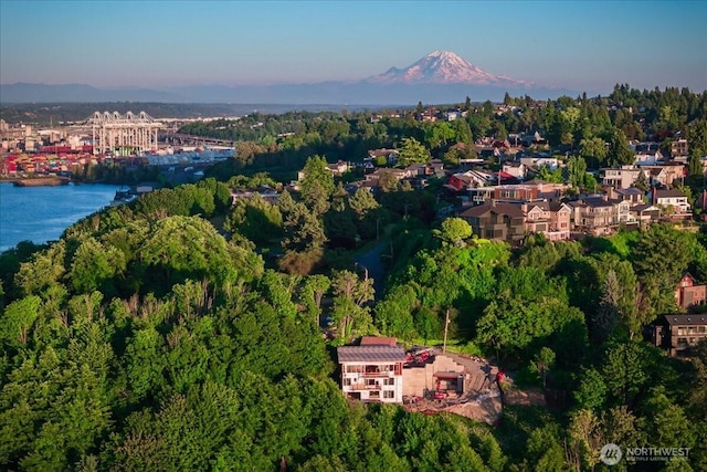 1017 California Ln SW, Seattle, WA 98116 - drone / aerial view of a water and mountain view and a heavily wooded area