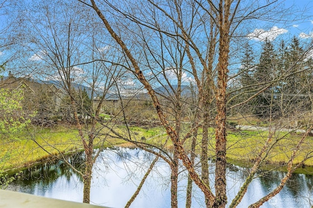 1957 23rd Pl NE Unit 201, Issaquah, WA 98029 - water view