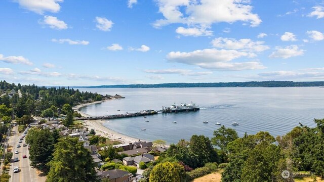 4055 SW Prince St, Seattle, WA 98116 - water view
