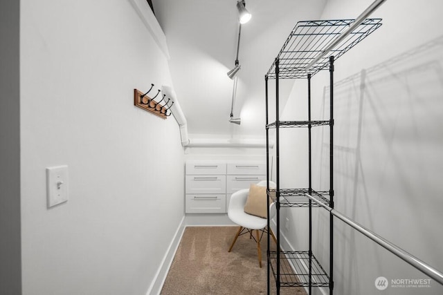 4055 SW Prince St, Seattle, WA 98116 - spacious closet with carpet floors