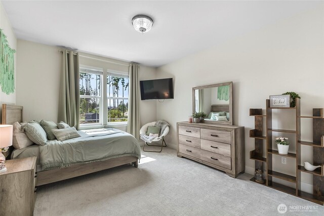 14607 122nd Pl NE, Lake Stevens, WA 98258 - photo 17
