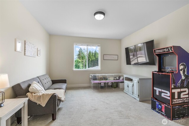 14607 122nd Pl NE, Lake Stevens, WA 98258 - photo 22