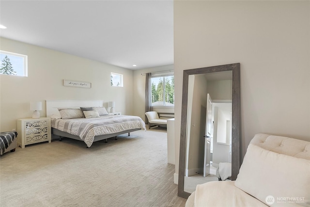 14607 122nd Pl NE, Lake Stevens, WA 98258 - photo 28