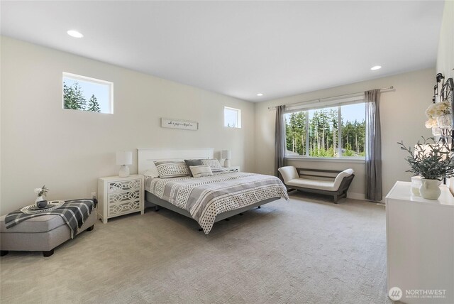 14607 122nd Pl NE, Lake Stevens, WA 98258 - photo 29
