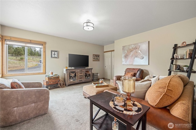 95 Horizon Ln, Chelan, WA 98816 - living area featuring light carpet