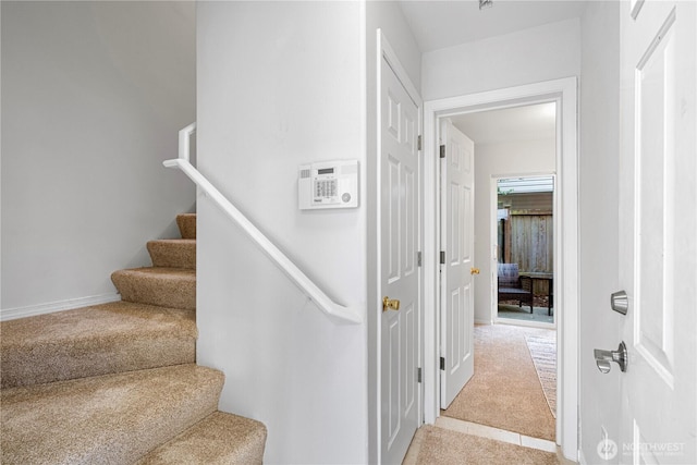 8526 Nesbit Ave N Unit F, Seattle, WA 98103 - stairs featuring carpet and baseboards