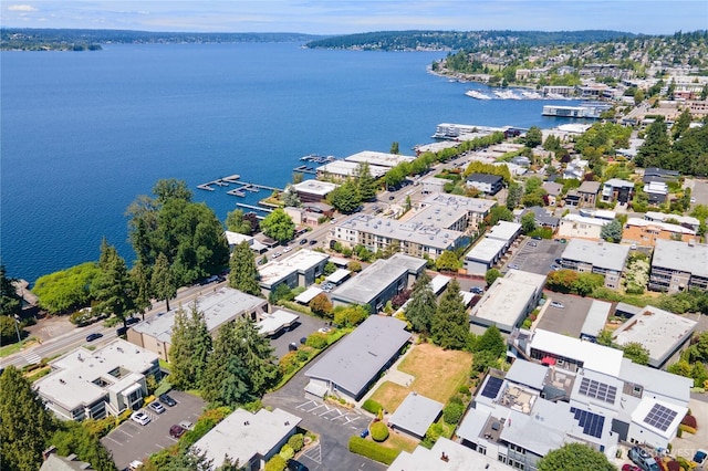 6714 Lake Washington Blvd NE Unit 4, Kirkland, WA 98033 - photo 26