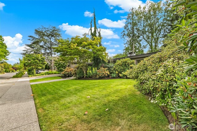 2325 38th Ave E, Seattle, WA 98112 - view of green lawn
