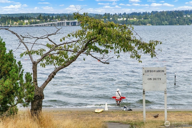 2325 38th Ave E, Seattle, WA 98112 - water view
