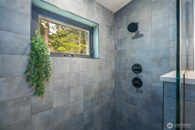 7489 Olsen Dr, Deming, WA 98244 - bathroom featuring tiled shower
