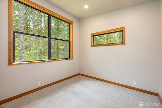 7489 Olsen Dr, Deming, WA 98244 - carpeted spare room featuring baseboards