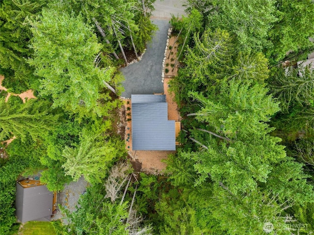 7489 Olsen Dr, Deming, WA 98244 - aerial view of property and surrounding area