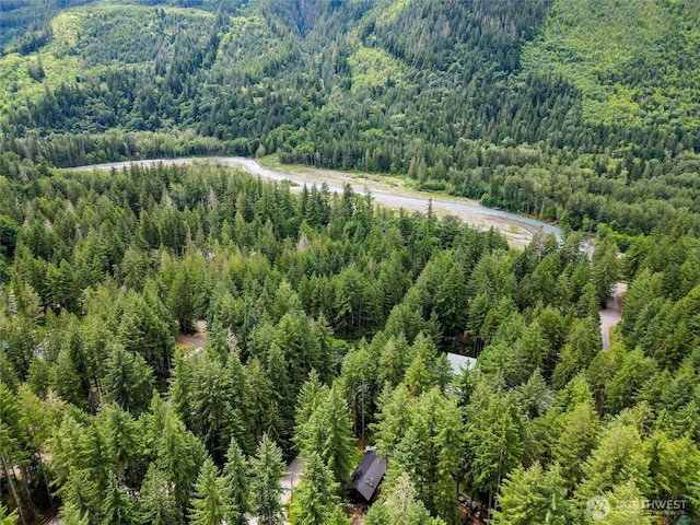 7489 Olsen Dr, Deming, WA 98244 - aerial view of a forest