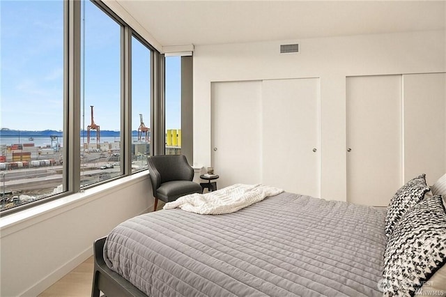 590 1st Ave S Unit 907, Seattle, WA 98104 - bedroom featuring two closets, wood finished floors, and a water view