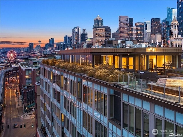 590 1st Ave S Unit 907, Seattle, WA 98104 - skyline view