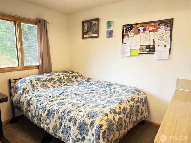 16 W Douglas St, Harrington, WA 99134 - view of carpeted bedroom