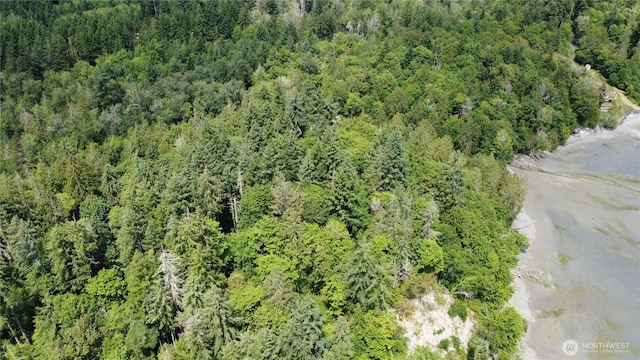 3950 E N Island Dr, Shelton, WA 98584 - photo 8