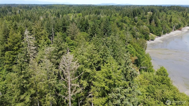 3950 E N Island Dr, Shelton, WA 98584 - photo 9