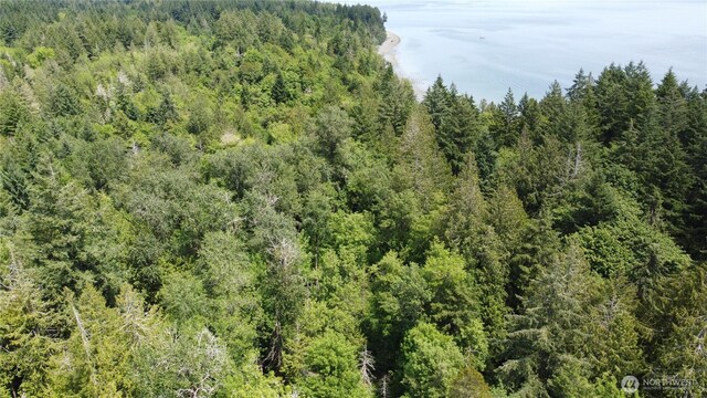 3950 E N Island Dr, Shelton, WA 98584 - photo 10