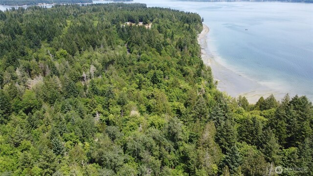 3950 E N Island Dr, Shelton, WA 98584 - photo 12