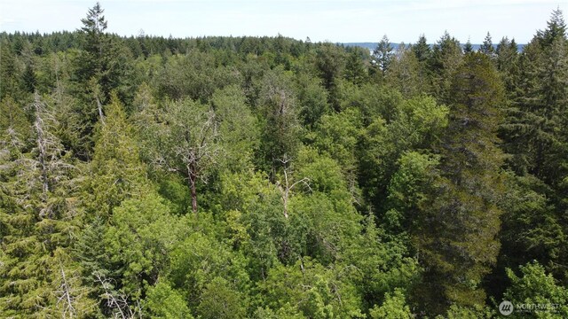 3950 E N Island Dr, Shelton, WA 98584 - photo 14