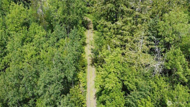 3950 E N Island Dr, Shelton, WA 98584 - photo 16