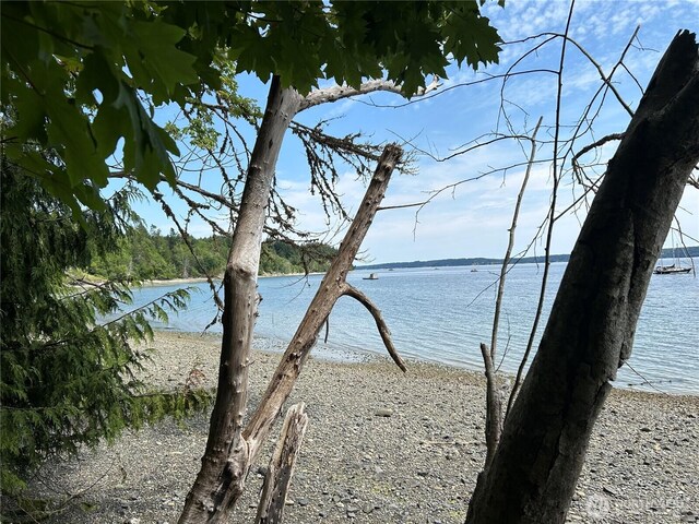 3950 E N Island Dr, Shelton, WA 98584 - photo 20