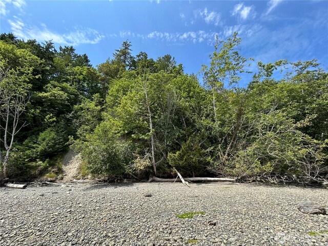 3950 E N Island Dr, Shelton, WA 98584 - photo 22