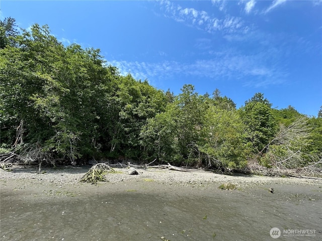 3950 E N Island Dr, Shelton, WA 98584 - photo 1