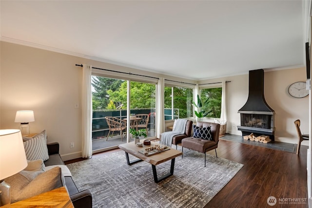 1110 E Harrison St Unit 301, Seattle, WA 98102 - living area featuring crown molding, healthy amount of natural light, wood finished floors, and a wood stove