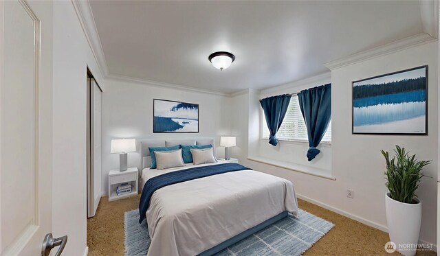 12315 170th St E, Puyallup, WA 98374 - photo 12