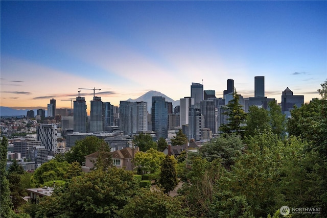 1818 Bigelow Ave N Unit 403, Seattle, WA 98109 - skyline view