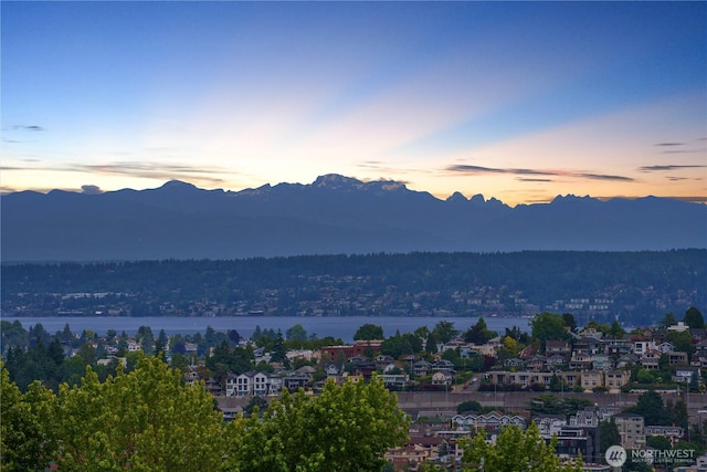 1818 Bigelow Ave N Unit 403, Seattle, WA 98109 - mountain view