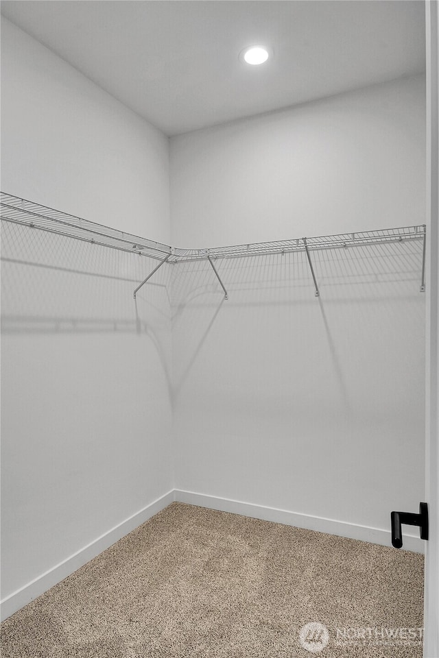 629A W Emerson Ave, Seattle, WA 98119 - walk in closet featuring carpet