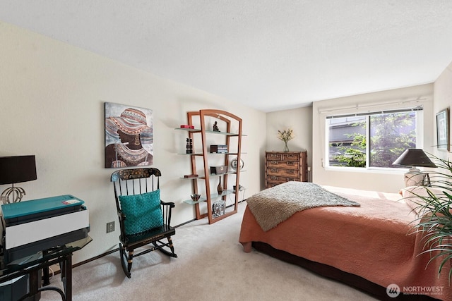 11300 1st Ave NE Unit 224, Seattle, WA 98125 - bedroom with carpet