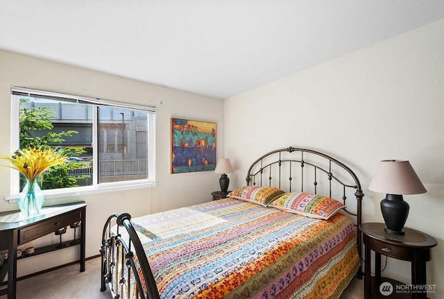 11300 1st Ave NE Unit 224, Seattle, WA 98125 - bedroom featuring carpet floors