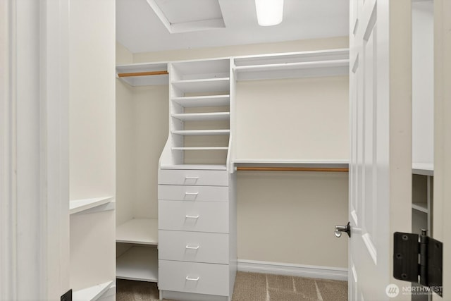 2414 42nd Pl, Anacortes, WA 98221 - walk in closet featuring carpet