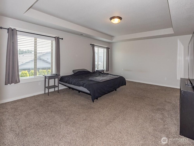11217 NE 134th Pl, Vancouver, WA 98682 - bedroom featuring a raised ceiling and carpet flooring