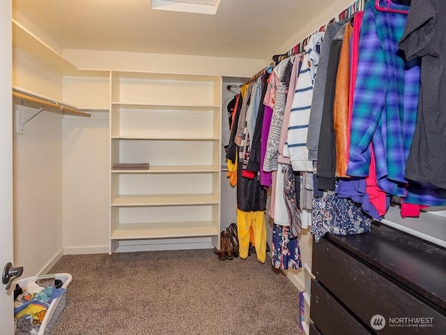 11217 NE 134th Pl, Vancouver, WA 98682 - spacious closet featuring carpet floors