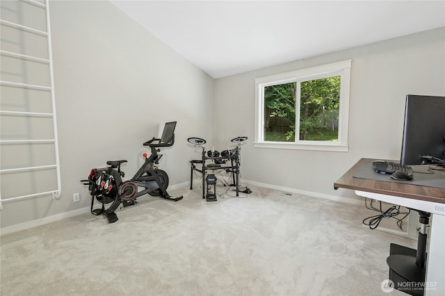 17519 33rd Ave NE, Lake Forest Park, WA 98155 - exercise room with carpet and lofted ceiling