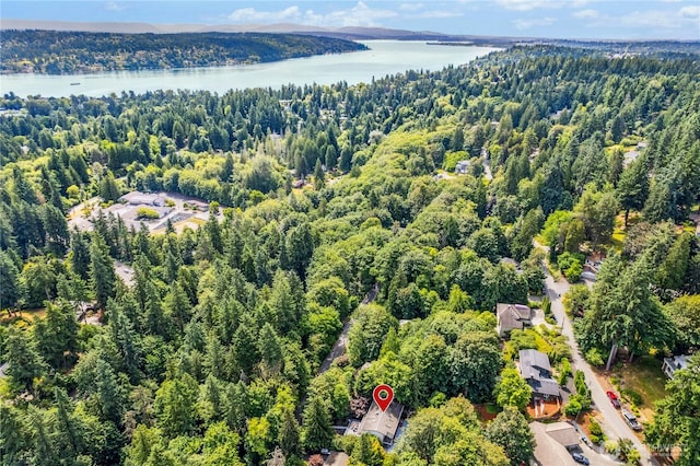 17519 33rd Ave NE, Lake Forest Park, WA 98155 - drone / aerial view of a heavily wooded area and a nearby body of water