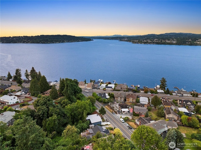 11029 84th Ave S, Seattle, WA 98178 - aerial perspective of suburban area with a nearby body of water