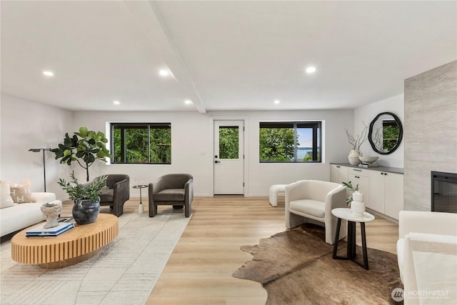 11029 84th Ave S, Seattle, WA 98178 - living room with recessed lighting, light wood-style flooring, plenty of natural light, and a fireplace