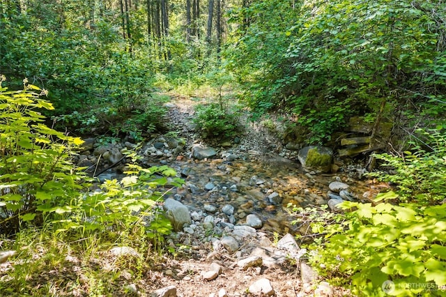8XX Nancy Creek Rd, Kettle Falls, WA 99141