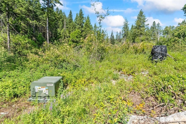 8XX Nancy Creek Rd, Kettle Falls, WA 99141